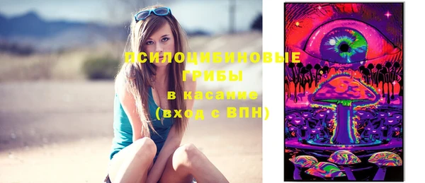 прущие крисы Абинск